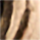 Colour Gold selected