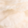 Colour Beige