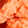 Colour Orange selected