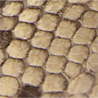 Thumbnail of Kitten shoes with bow detail - Medium Brown