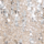 Colour Silver selected