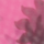 Couleur Fuchsia sélectionnée