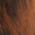 Colour Brown selected