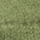Couleur Vert