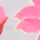 Colour Pink selected