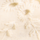 Colour Beige