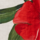 Colour Ecru selected