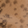 Color Beige selected