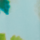 Colour Aqua Green selected