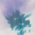 Colour Purple