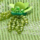 Colour Green