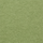 Colour Green