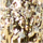 Colour Gold selected