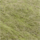Colour Green