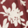 Color Maroon selected