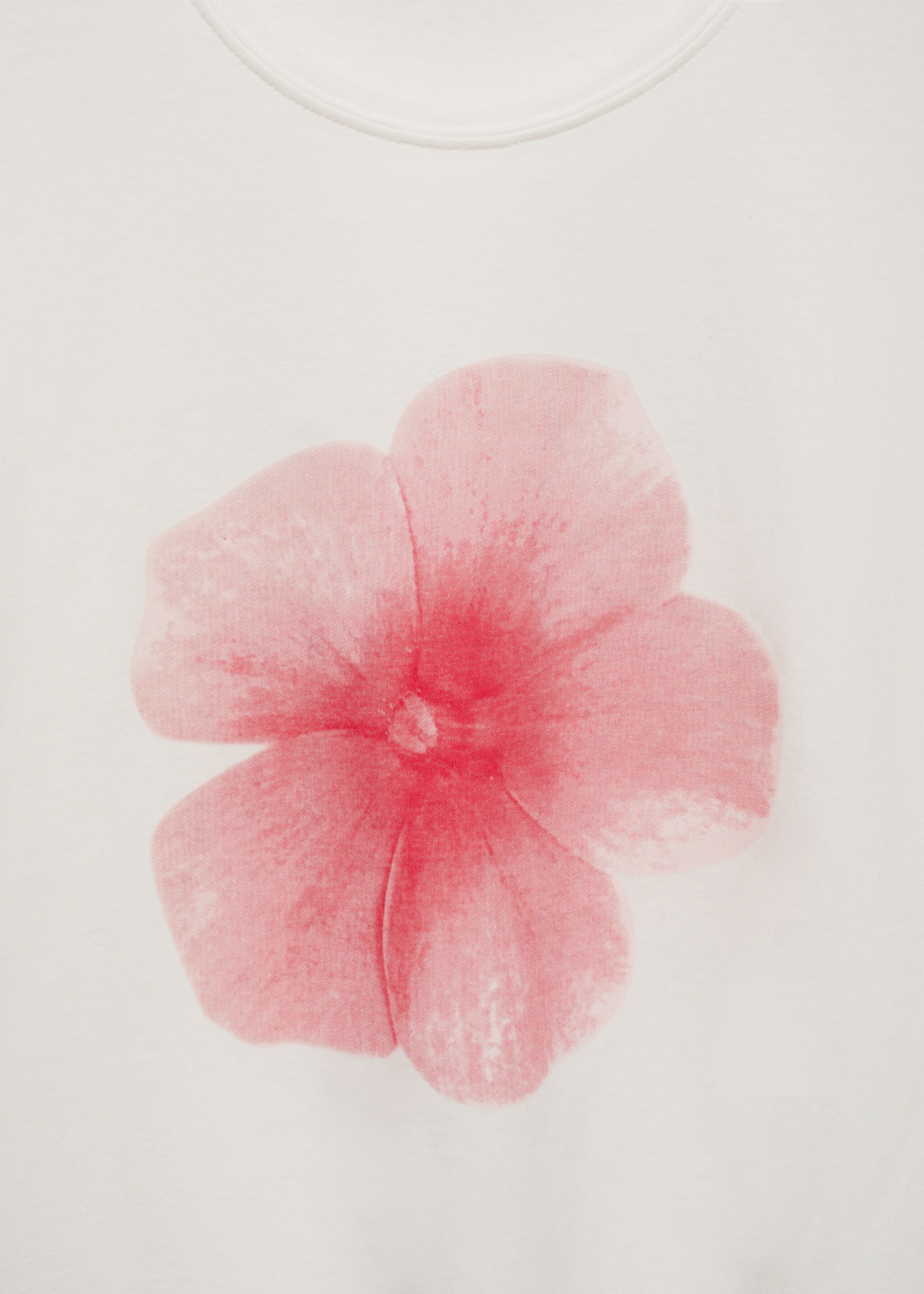 印花棉纺T恤 - null, 淡粉红. Ref: 77010352-00.