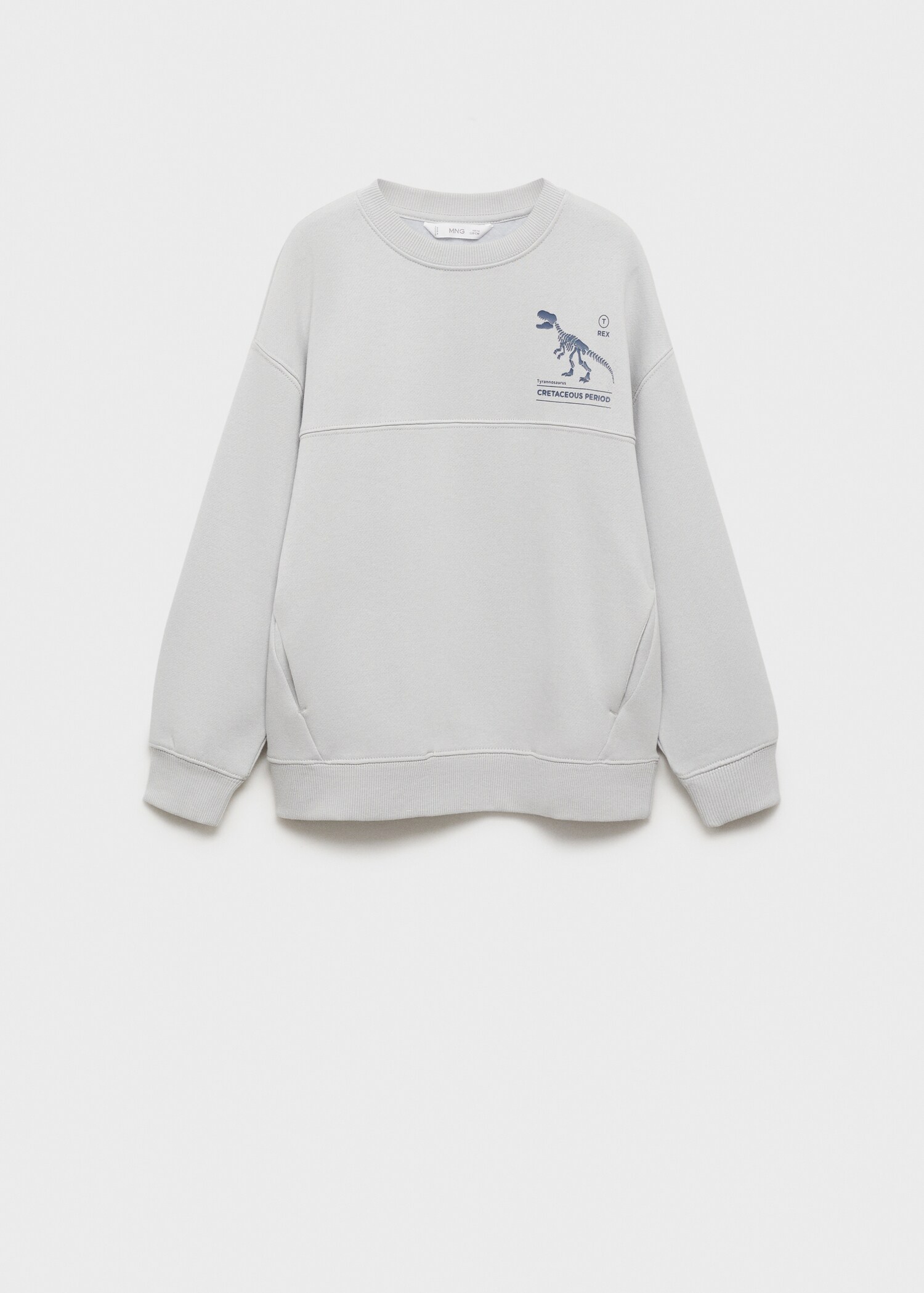 Sweat-shirt coton imprimé - Article sans modèle