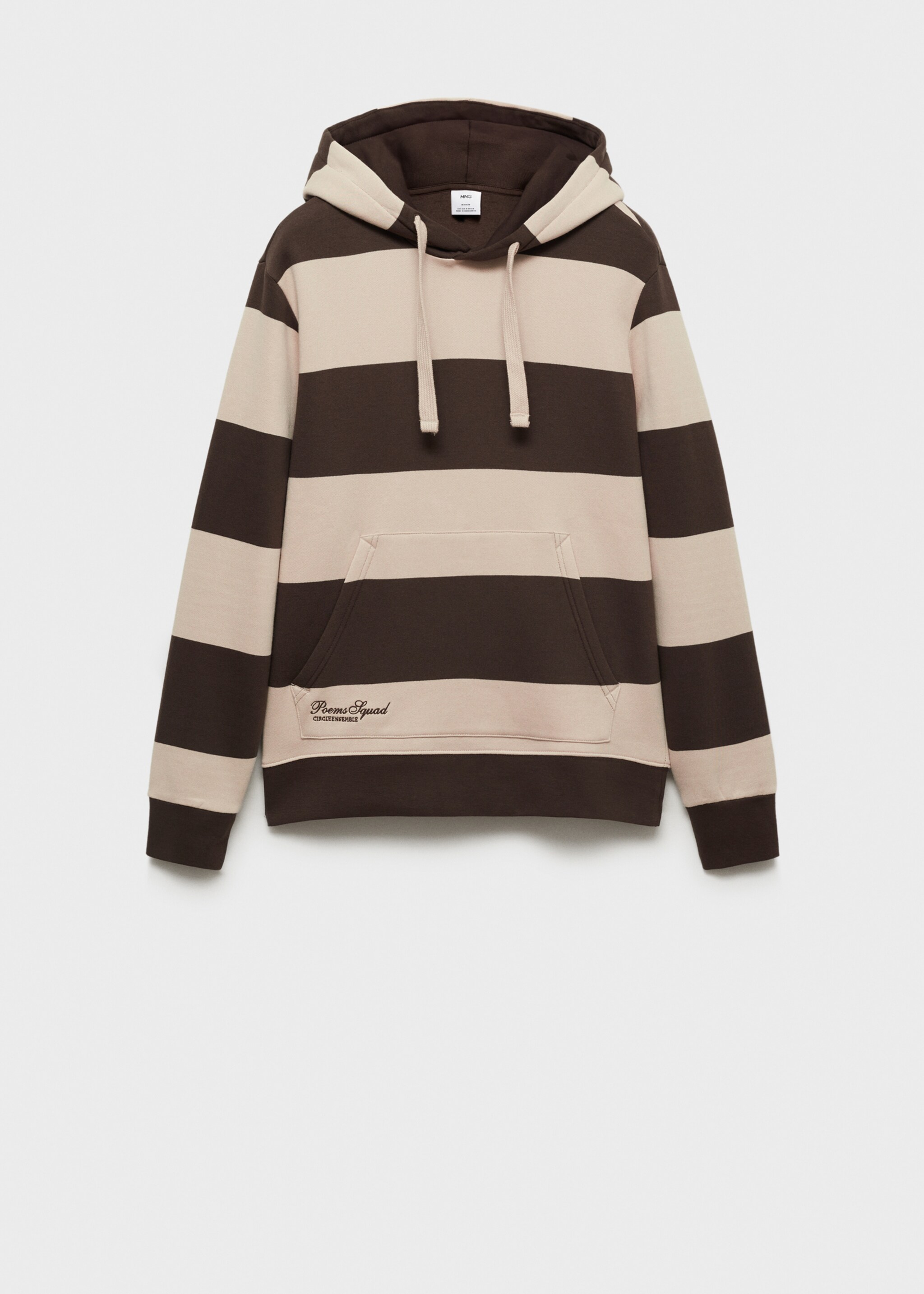 Striped hooded sweatshirt - Article without model