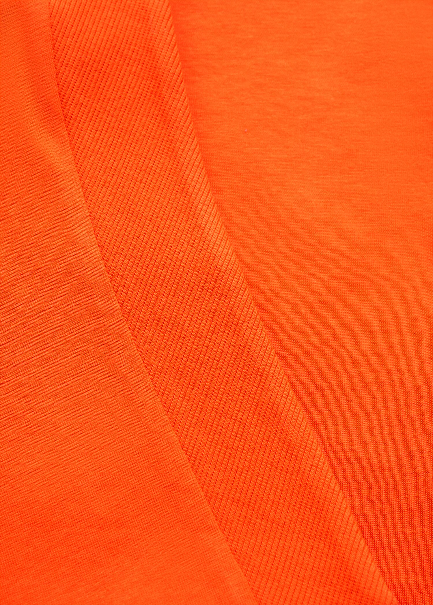 Short-sleeved cotton t-shirt - Details of the article 8