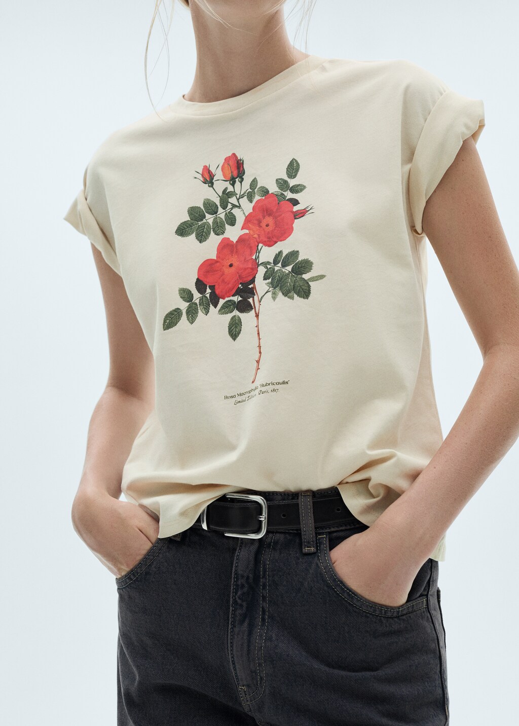100 cotton printed t shirt