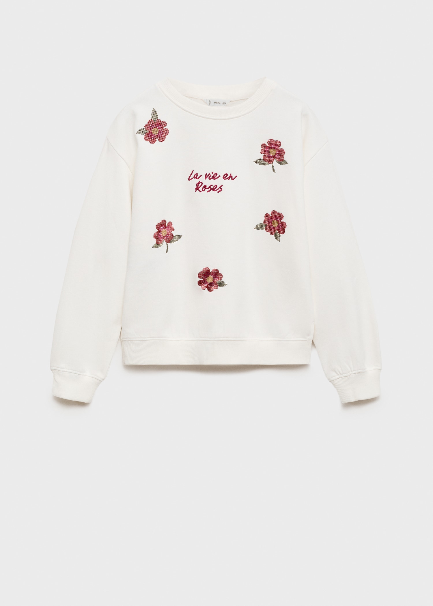 Floral embroidered sweatshirt - Article without model