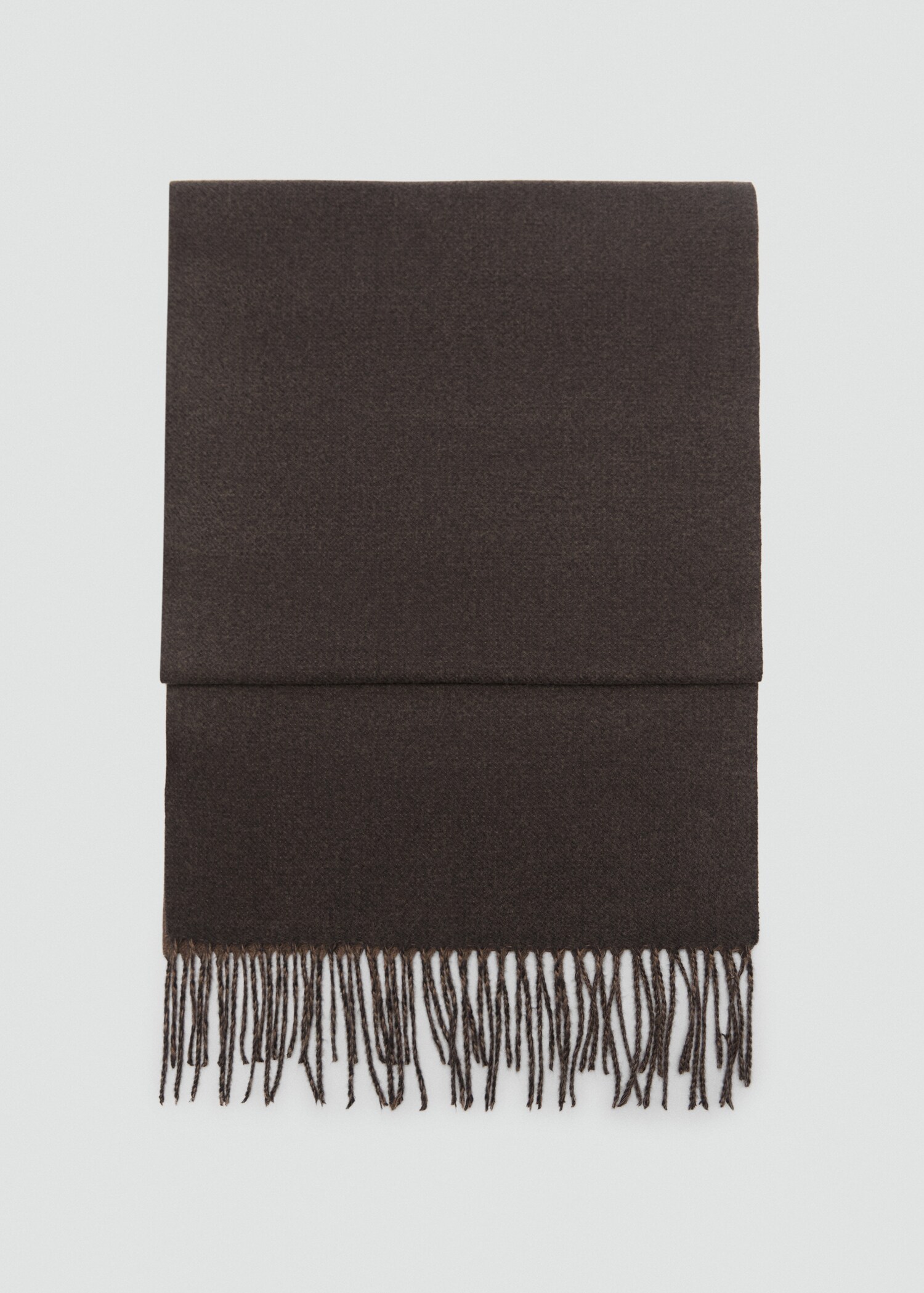 Two-tone fringed scarf - Article without model