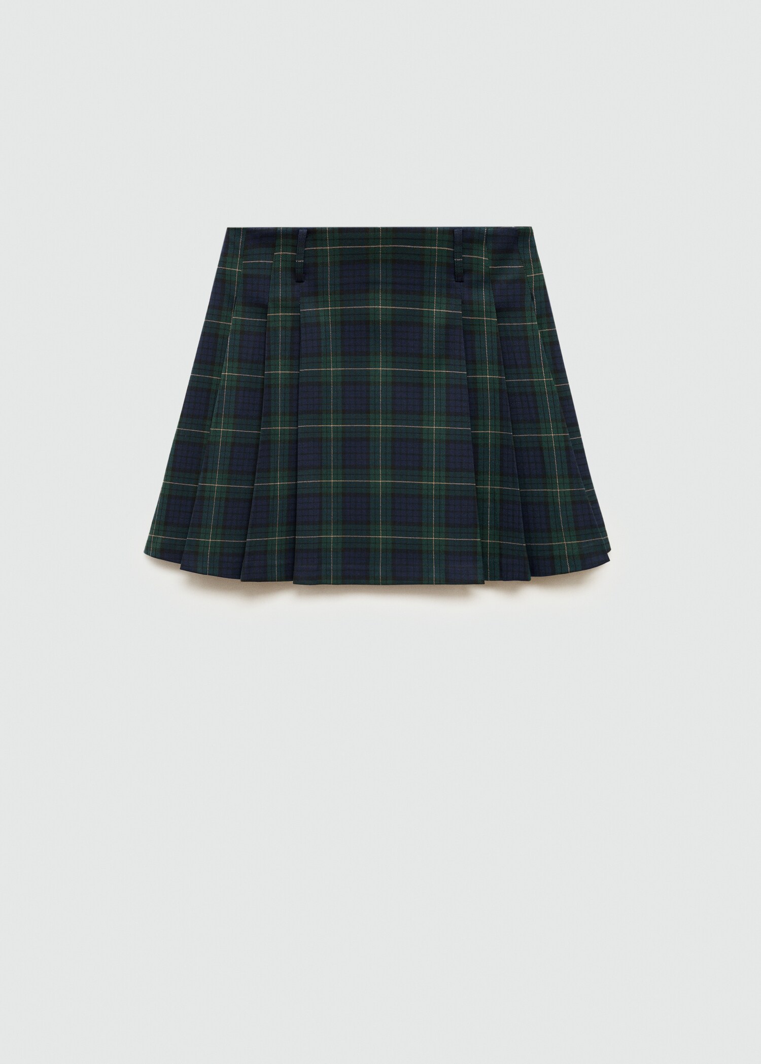 Pinstriped pleated skirt - Article without model