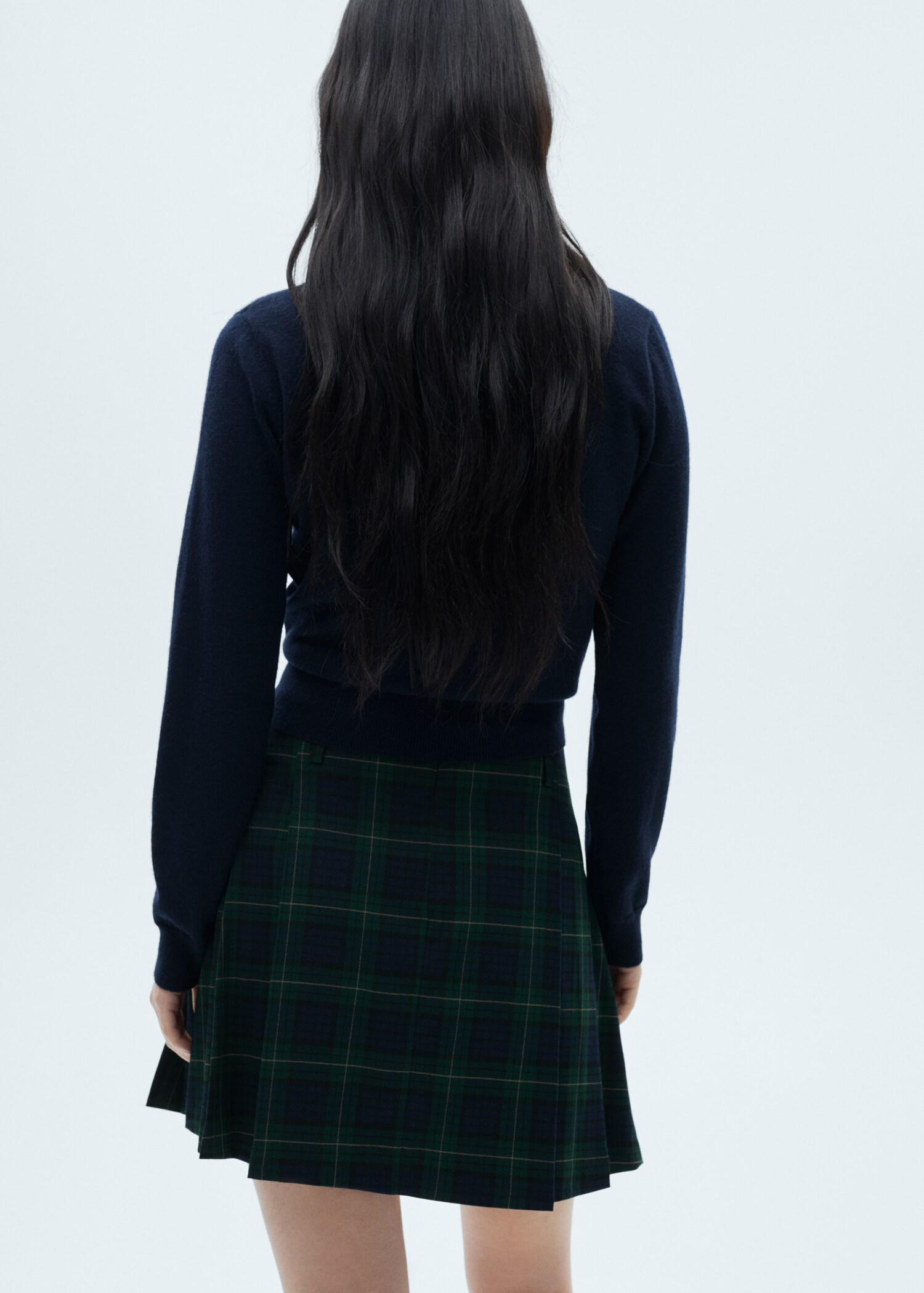 Pinstriped pleated skirt - Reverse of the article