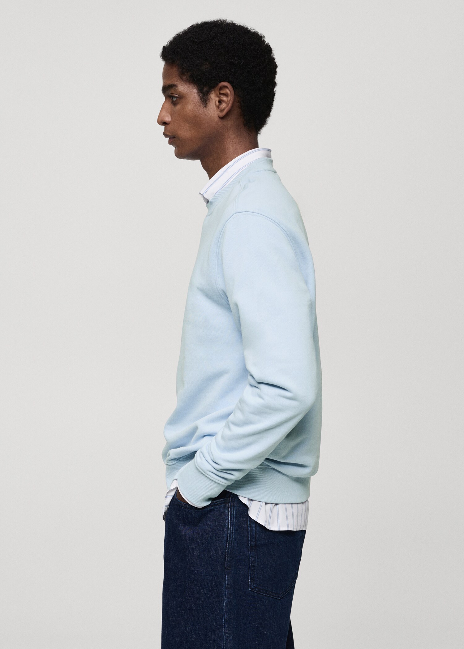 100% cotton regular-fit sweatshirt - Details of the article 2