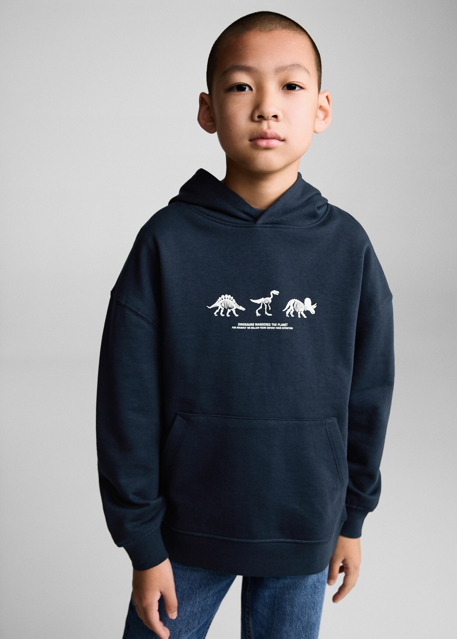 Sweat-shirt imprimé dinosaures - Plan moyen