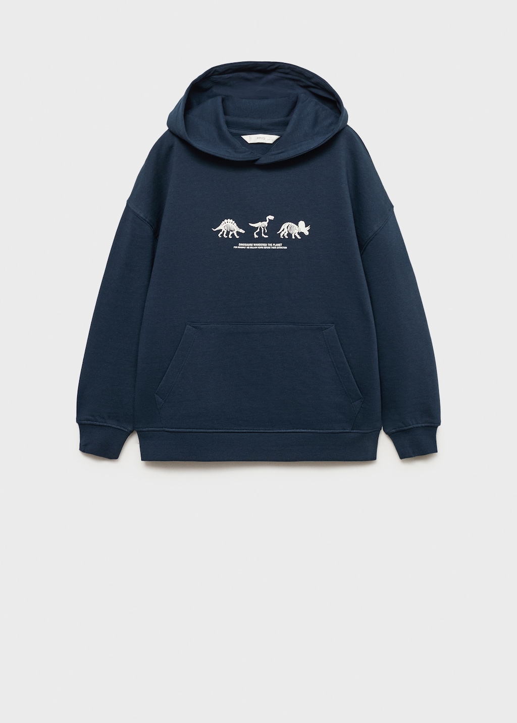 Dinosaur print hoodie
