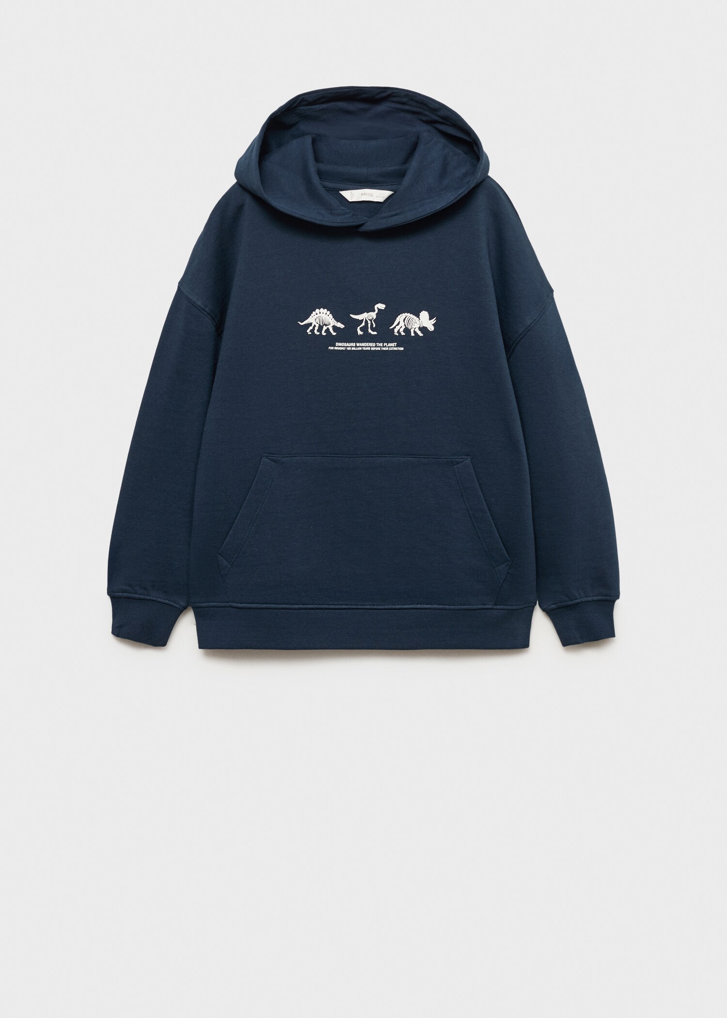 Sweat-shirt imprimé dinosaures - Article sans modèle