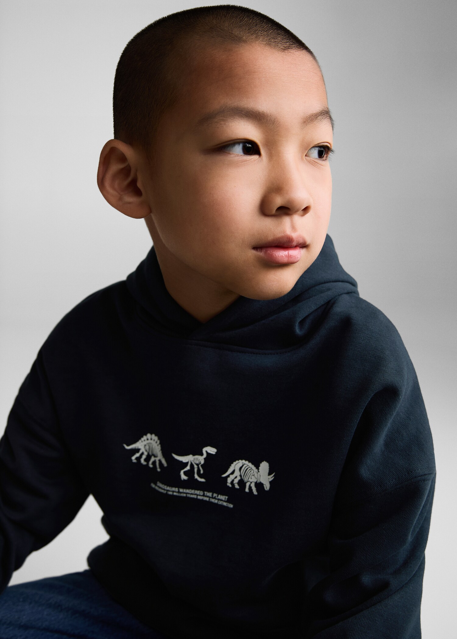 Sweat-shirt imprimé dinosaures - Détail de l'article 1