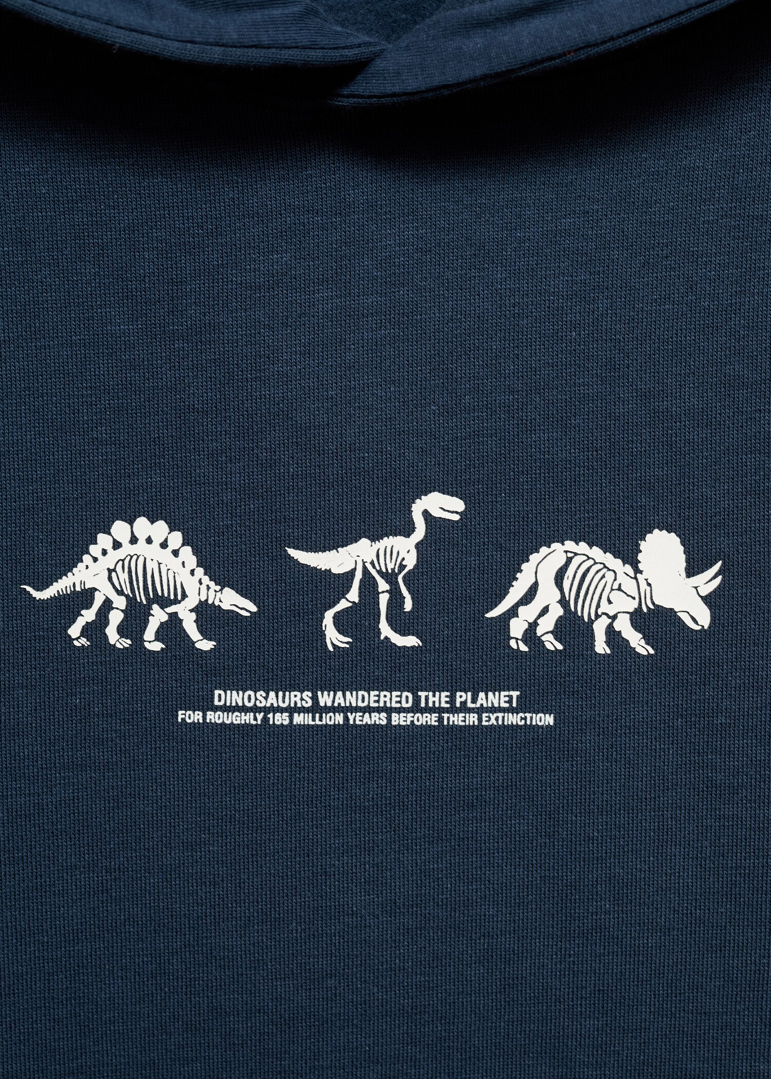 Sweat-shirt imprimé dinosaures - Détail de l'article 8