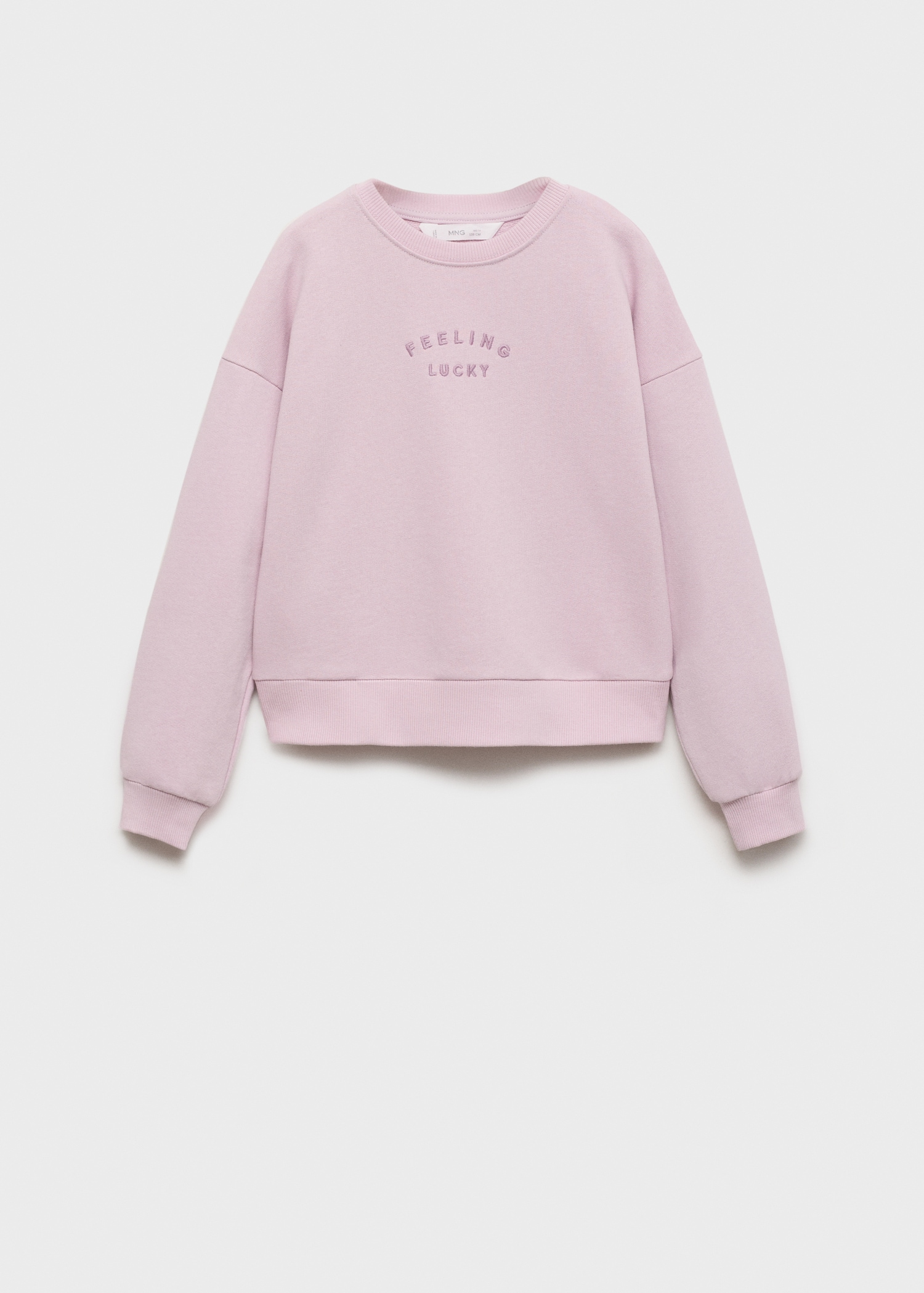 Embroidered detail cotton sweatshirt - Article without model