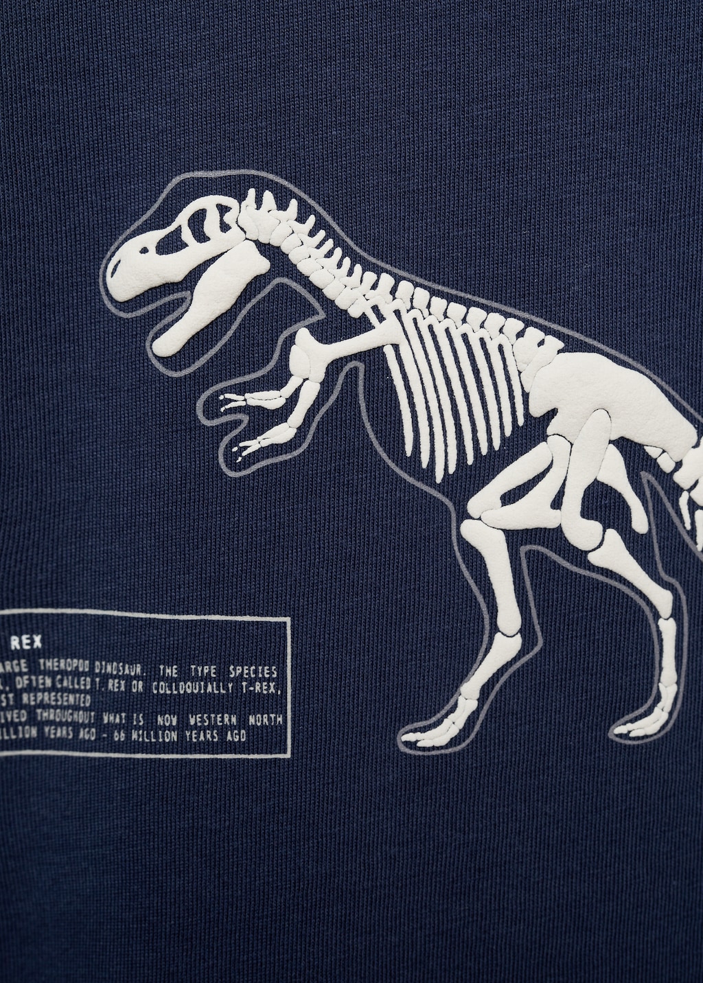 Maglietta dinosauro 2025