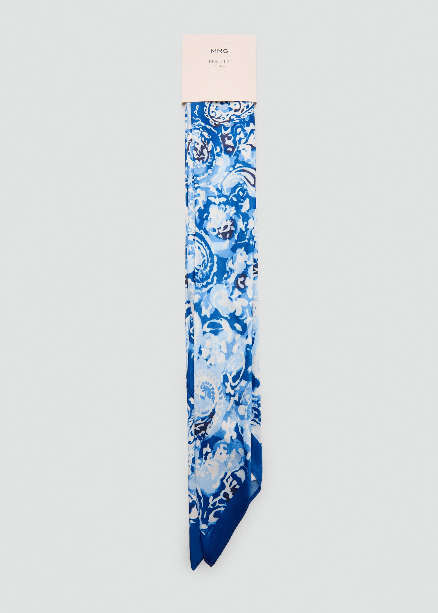 Paisley print scarf - Details of the article 2