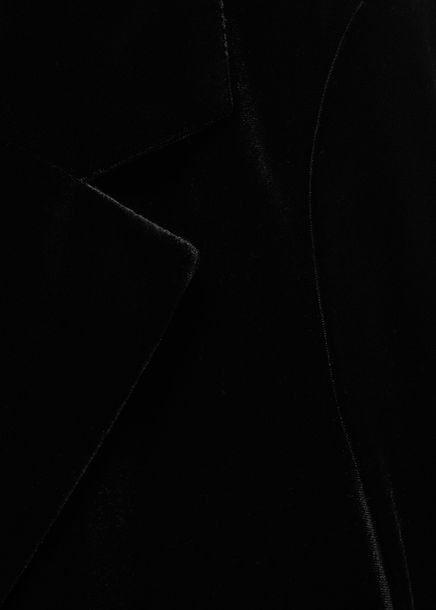 Velvet blazer - Details of the article 0