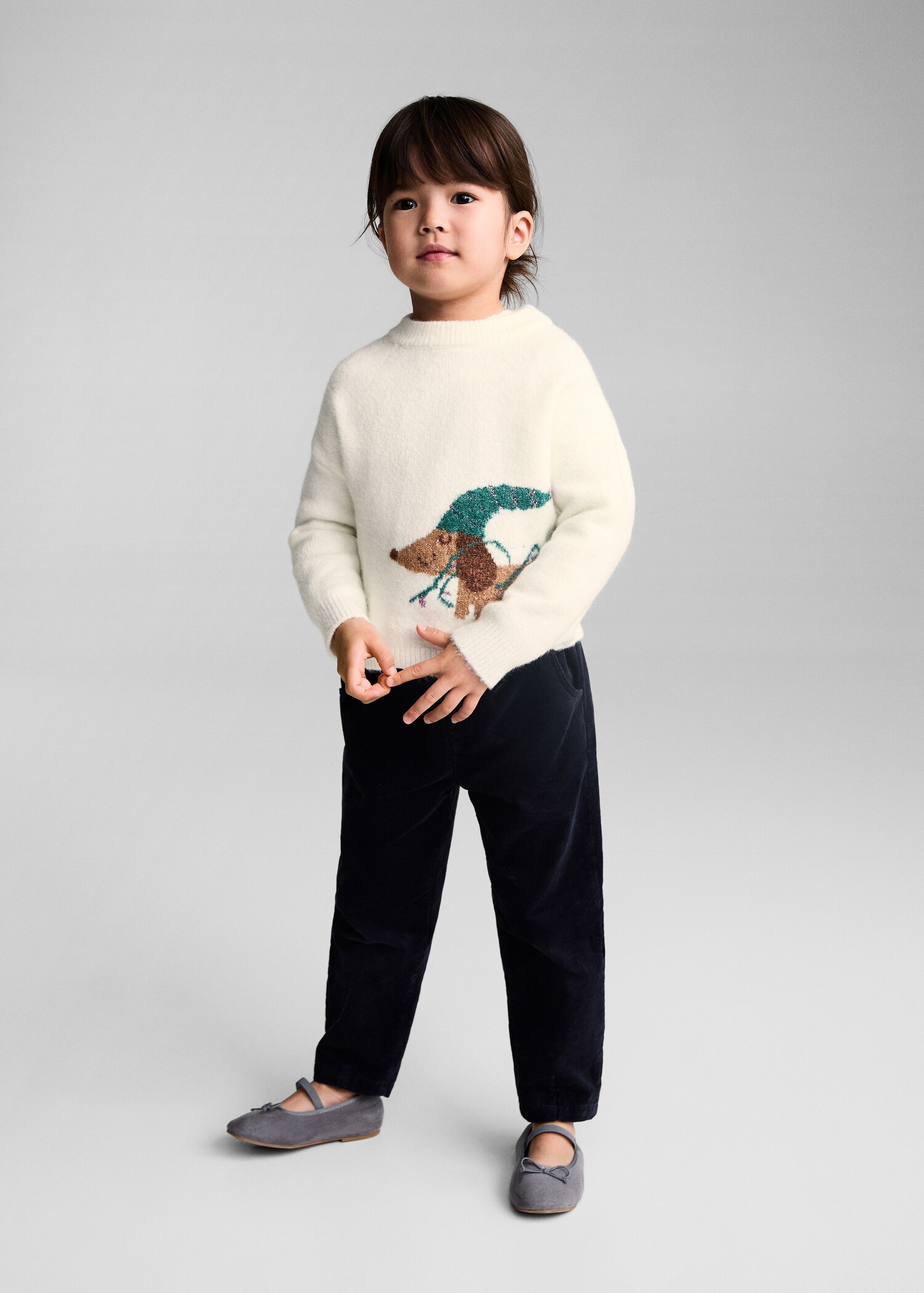 Doggy knit sweater - General plane