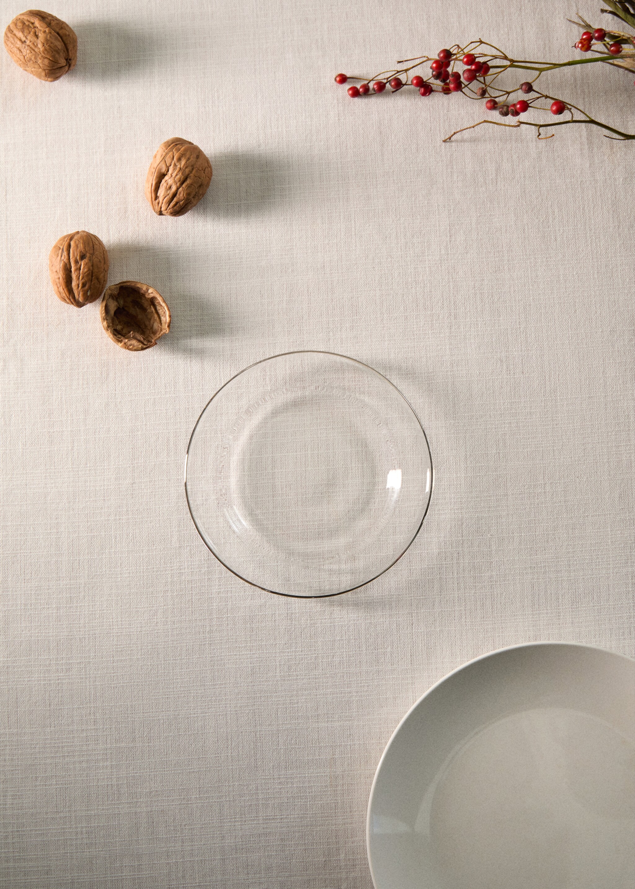 Silver edge borosilicate plate - General plane