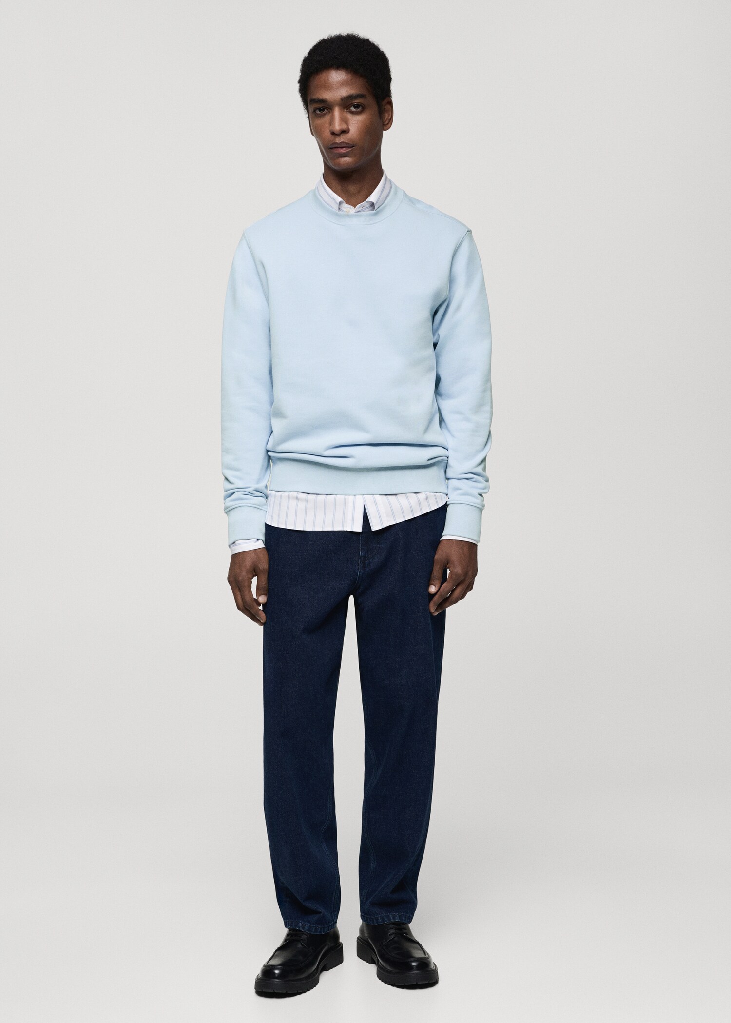 100% cotton regular-fit sweatshirt - General plane