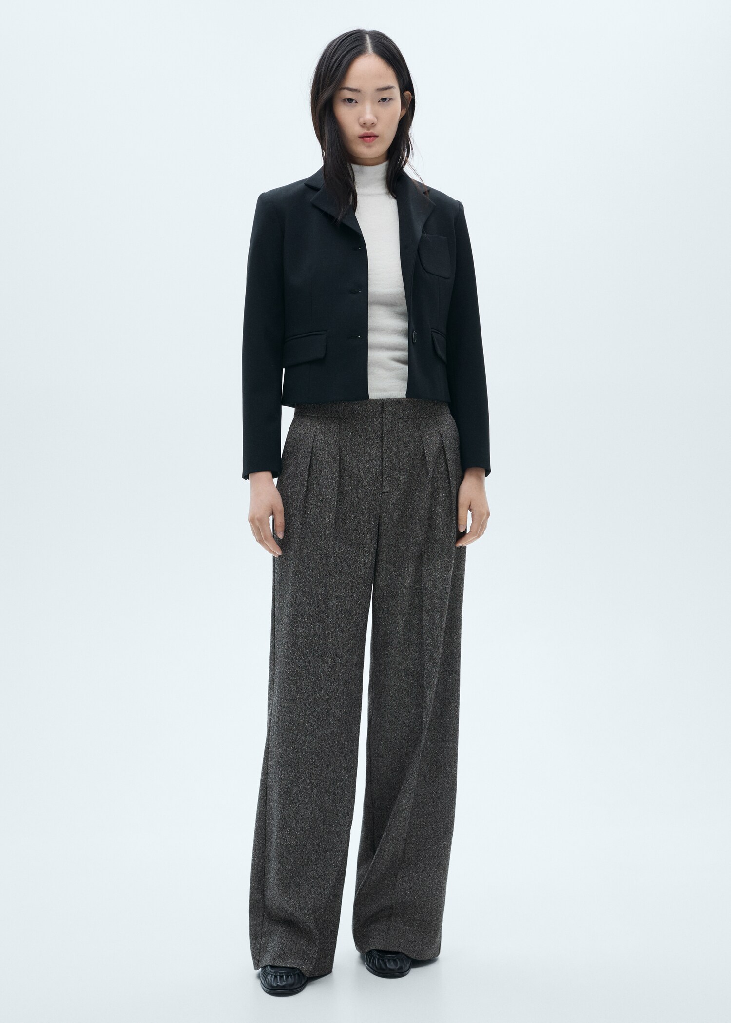 Flecked pleated trousers - General plane