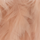 Colour Nude