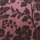 Colour Pink