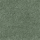 Colour Green