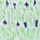 Colour Lime selected