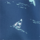 Colour Blue selected