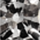 Color Silver selected
