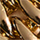 Color Oro seleccionado