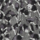 Color Negro seleccionado